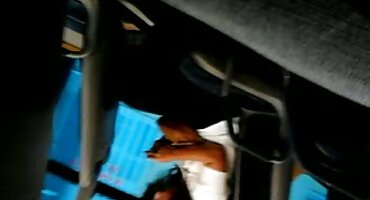 കറുത്ത കോഴി ബിഗ് ബൂട്ട് റഗാസ