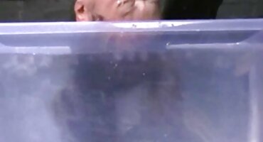 റഷ്യൻ സ്റ്റഡ് നിർബന്ധിതരായി ബ്ലൊഗ് കോഴി ഇരിക്കാൻ