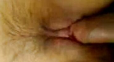 ഒരു മനുഷ്യന്റെ മുഖത്ത് ഇരിക്കുന്ന അശുദ്ധമായ കുതിര