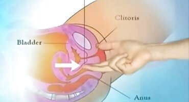 നഗ്നയായ പെണ്കുട്ടിയെ ലൈംഗിക വിദ്യാഭ്യാസ പാഠം പഠിപ്പിച്ച യുവാവ് അറസ്റ്റില്
