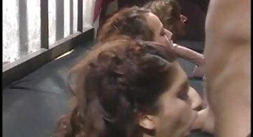 ഫ്യൂച്ചർ ബോസ് ചിക്കൻ ബെല്ലി ന് കം