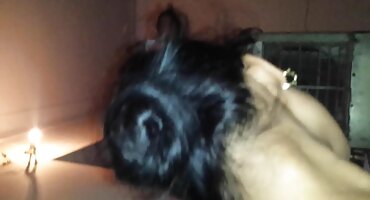 അവളുടെ കൈകൾ കൊണ്ട് കുന്ക മസാജ് സെഡക്റ്റീവ് കോഴി