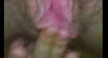 ശബരിമലയില് സ്ത്രീ പ്രവേശനം അനുവദിക്കണമെന്ന് സുപ്രീംകോടതി; നിലപാട് കടുപ്പിച്ച് ഹൈക്കോടതി