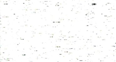 സ്വാതന്ത്ര്യം ബ്ലൊഗ് ശരിക്കും കോഴി ആഗ്രഹിക്കുന്നു