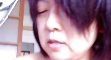 ക്ലാസി കോബോബോ ഫോർനിറ്റോ