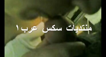 ഒരു താടിയുള്ള ഡ്യൂഡ് എന്ന കോഴി ചവിട്ടിക്കയറുന്ന ചെറുപ്പക്കാരി