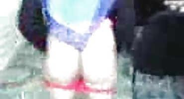 കോഴി കോഴി പന്തിൽ താഴേക്കൊഴികിയില്ല സമനിരപ്പുണ്ടാക്കുക കഴുത