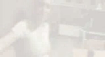 ഒരു വലിയ തെണ്ടി അവസാനം ഒരു മുലാട്ടോ നട്ടു