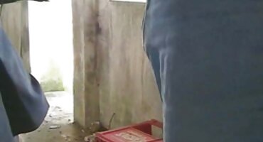 പരിശീലനം പ്രോഫുര്ദ വിഴുങ്ങുന്ന കോഴി