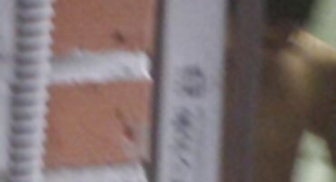 കറുത്ത മുടിയുള്ള കന്യകയുടെ പബ്ബുകളിൽ നശിപ്പിക്കുകയും വിതറുകയും ചെയ്യുന്നു